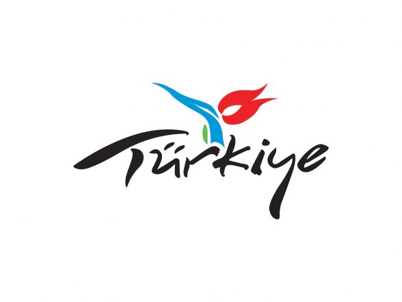 D2 - Analytics client logo: Turkey